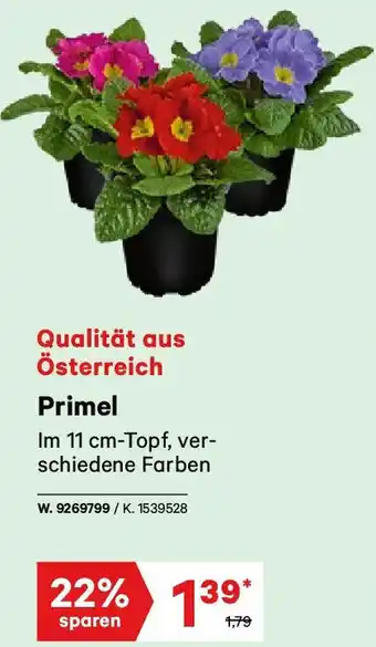 Lagerhaus Primel Angebot