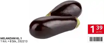 Transgourmet MELANZANI KL.1 Angebot