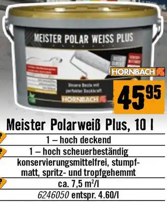 Hornbach Meister Polarweiß Plus, 10L Angebot