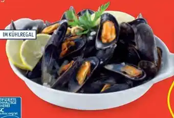Hofer Miesmuscheln Angebot