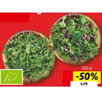 Lidl Bio Salate verschiedene Sorten Lidl 100 Gramm Angebot