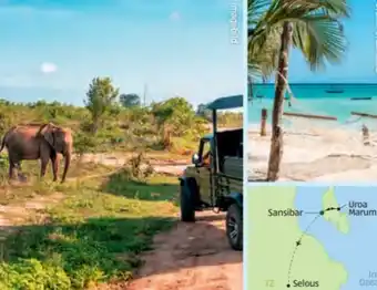 Hofer Tansania-Sansibar Safari-Baden Angebot