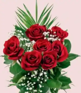 Hofer Roter Rosenstrauß Angebot