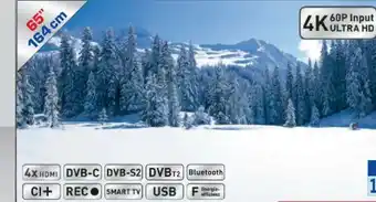 Metro OLED TV 65B39LA Angebot