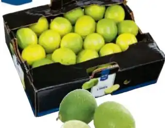 Metro Bio Limetten Angebot