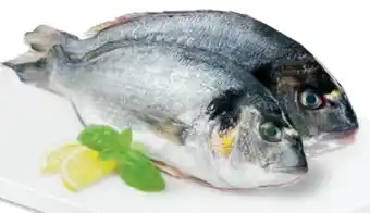 Metro Goldbrasse Angebot