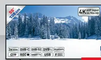 Metro Q-LED TV 55Q60C Angebot