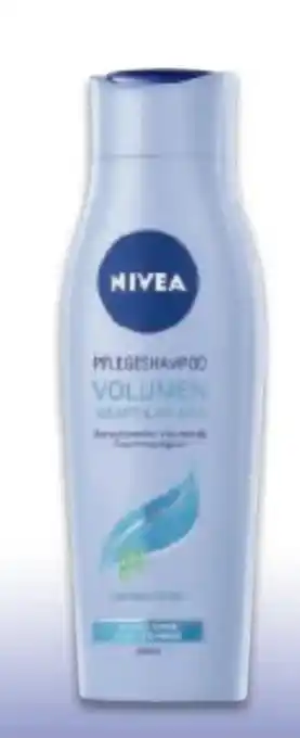 Metro Shampoo Angebot