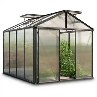 Hofer GFP Gewächshaus „Royal“ HOFER 1 Stück Angebot
