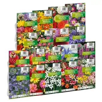 Hofer Blumenzwiebeln versch. Sorten HOFER 1 Packung Angebot