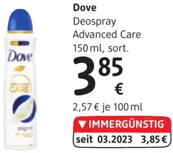 dm Dove Angebot