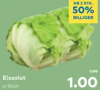 T&G Eissalat Angebot