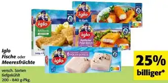 Nah&Frisch Iglo Fische oder Meeresfrüchte Angebot