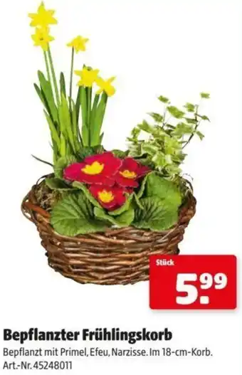 Hagebau Bepflanzter Frühlingskorb Angebot