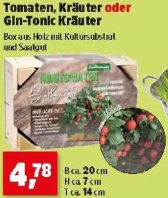 Thomas Philipps Tomaten, Kräuter, Gin-Tonic Kräuter Angebot