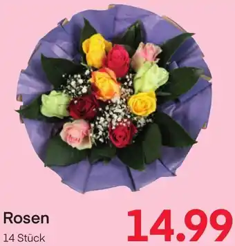 MPreis Rosen Angebot