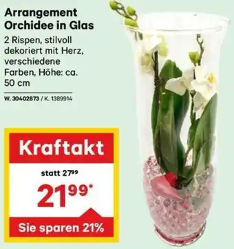 Salzburger Lagerhaus Arrangement Orchidee in Glas Angebot