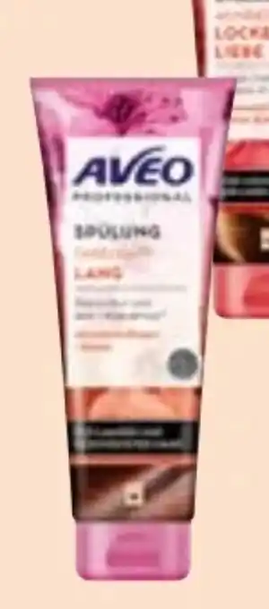 Müller Professional Shampoo Angebot