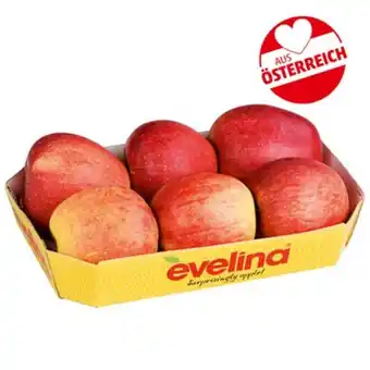 PENNY evelina Äpfel Penny 1 Kilogramm Angebot