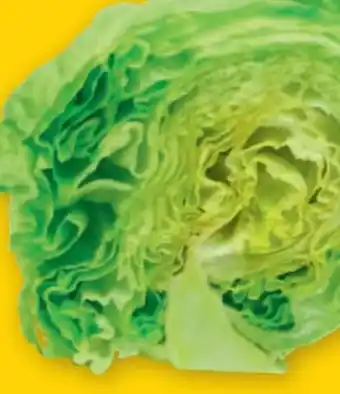 PENNY Eissalat Angebot