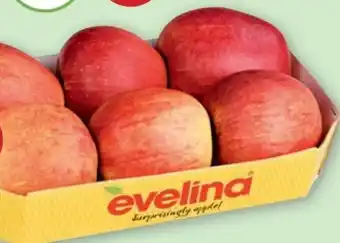 PENNY Apfel Evelina Angebot