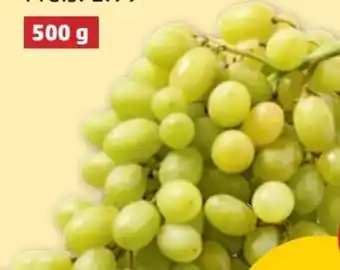 PENNY Trauben Angebot