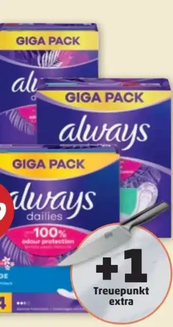 PENNY Slipeinlagen Angebot