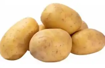 Transgourmet Ofenkartoffel Angebot