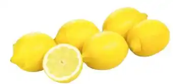 Transgourmet Bio Zitronen Angebot