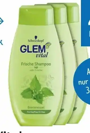 T&G Glem Vital Shampoo Angebot