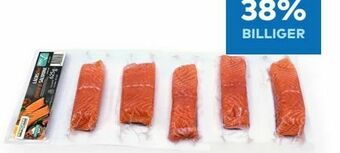 T&G Lachsfilets Salmo Salar Angebot