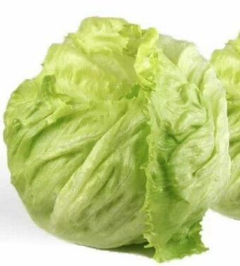 T&G Eissalat Angebot