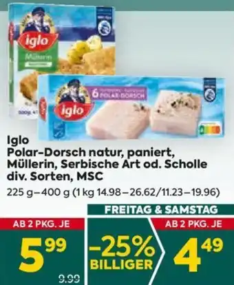 Billa Iglo Polar-Dorsch natur, paniert, Müllerin, Serbische Art od. Scholle div. Sorten, MSC Angebot