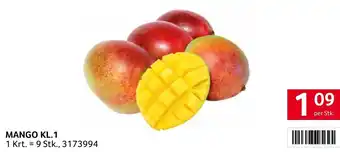 Transgourmet MANGO KL.1 per Stk Angebot