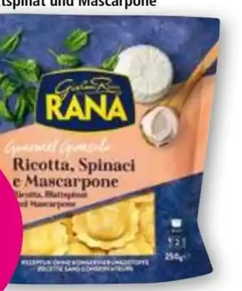 Norma Gourmet Pasta Angebot
