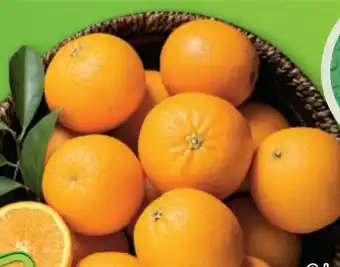Lidl Orangen Angebot