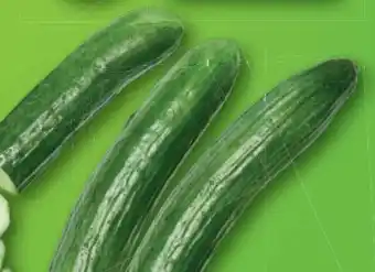 Lidl Bio Gurken Angebot