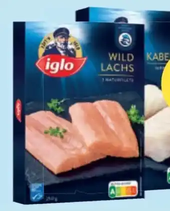 MPreis Wildlachs Angebot