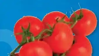 Unimarkt Rispentomaten Angebot