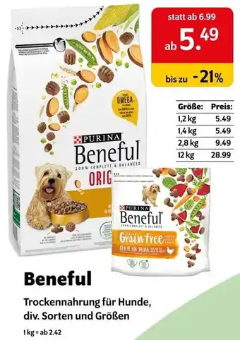Das Futterhaus Beneful Angebot