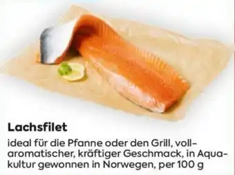 Billa Lachsfilet Angebot