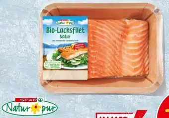 Interspar Bio-Lachsfilet Angebot