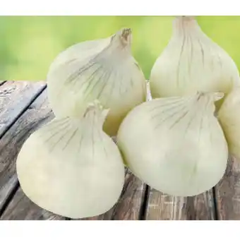 Eurospar knackig, frische Süßzwiebel EUROSPAR 1 Kilogramm Angebot