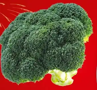 Spar Bio-Brokkoli Angebot