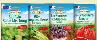 Interspar Bio-Saatgut Angebot