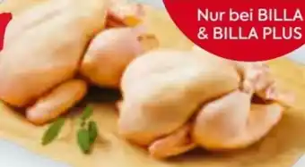 Billa Hendl Duo Angebot