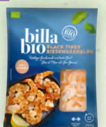 Billa Bio-Black Tiger Riesengarnelen Angebot