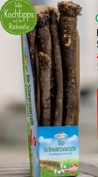 Eurospar Bio Schwarzwurzeln Angebot