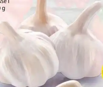 Hofer Knoblauch Angebot