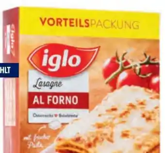 Hofer Lasagne Angebot